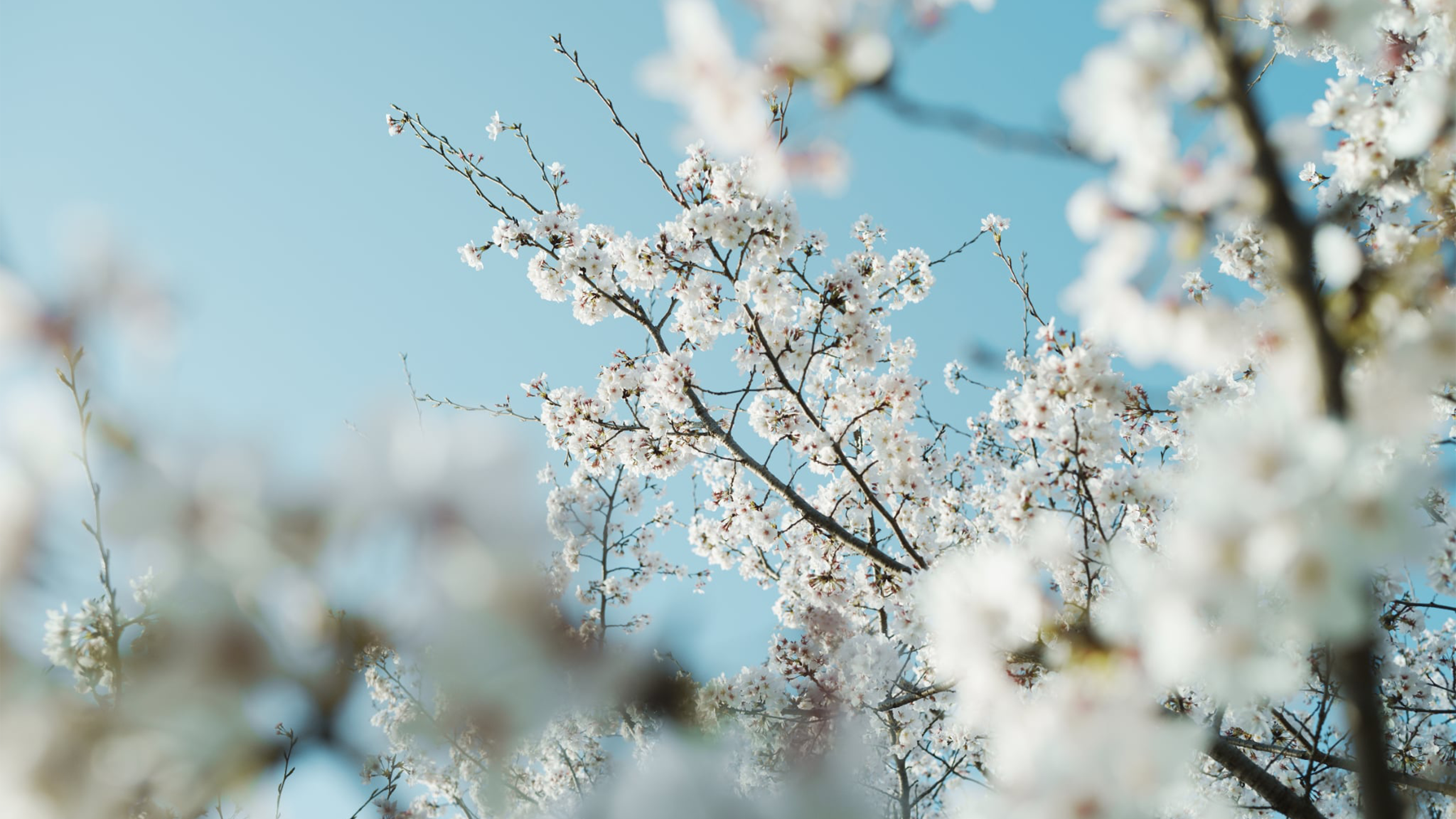 ONDO DESIGN - 地域のあれこれに関わるデザイン事務所（鹿児島・熊本）