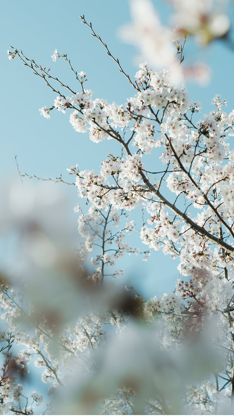 ONDO DESIGN - 地域のあれこれに関わるデザイン事務所（鹿児島・熊本）
